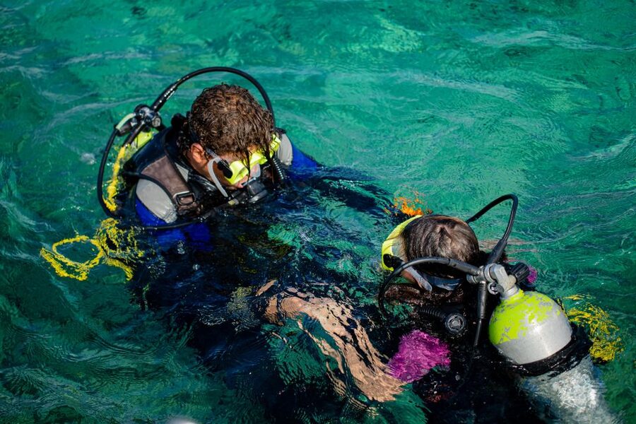 Hurghada: Full-Day Scuba Diving Tour with 2 Sites and Lunch - Who should choose this Red Sea outing?