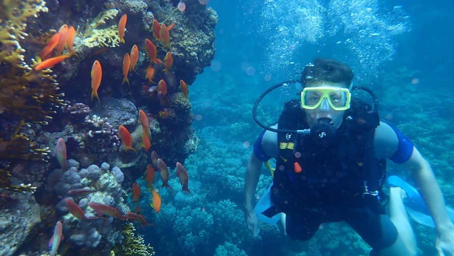 Hurghada: Full-Day Scuba Diving Tour with 2 Sites and Lunch - Practical booking advice before you go