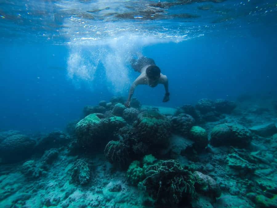 Hurghada:Luxury Diving & Snorkeling inc/Island/Lunch/Massage - Key points to know before booking