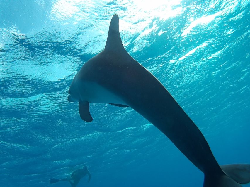 Hurghada: Luxury Orange Bay w/Snorkeling, Massage and Diving - Massage, banana boat, and free time