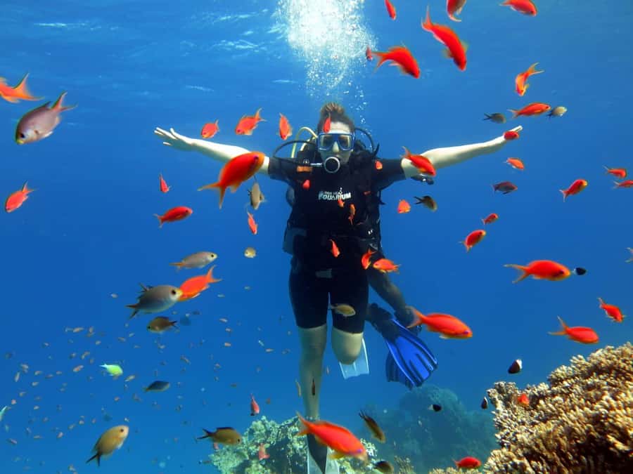 Hurghada: Orange Bay Snorkeling cruise and optional diving - Is $31 a good value?