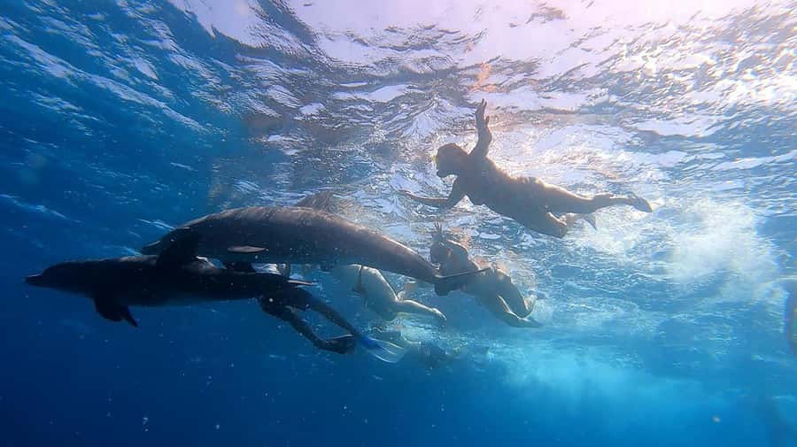 Hurghada: Orange Bay Snorkeling cruise and optional diving - Should you book it?