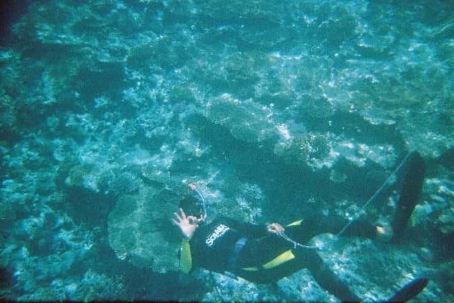 Hurghada, Professionals Diving in Open Water Tour with Lunch - What the $72 price really covers