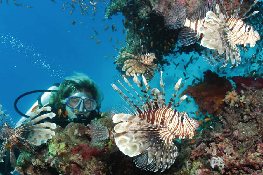 Hurghada, Professionals Diving in Open Water Tour with Lunch - Lunch on board after the first session