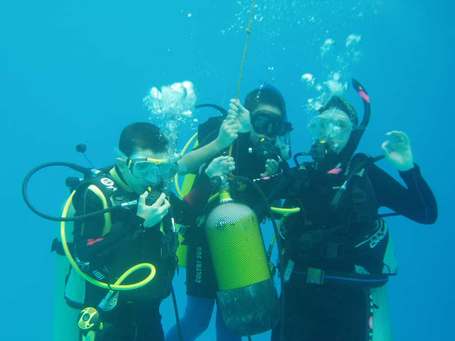 Hurghada, Professionals Diving in Open Water Tour with Lunch - Snorkeling and the ride back
