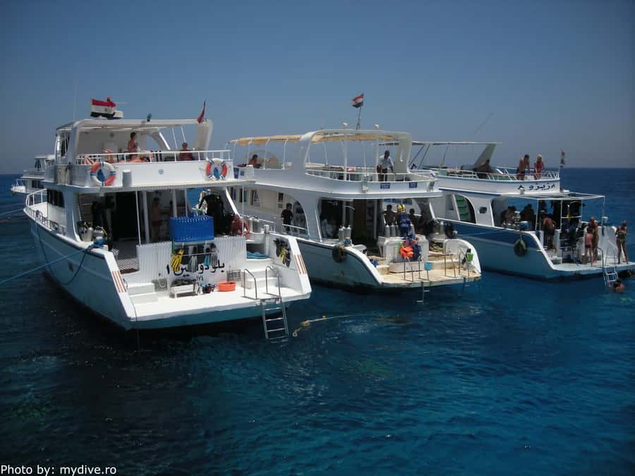 Hurghada, Professionals Diving in Open Water Tour with Lunch - Guides, languages, and the level of support