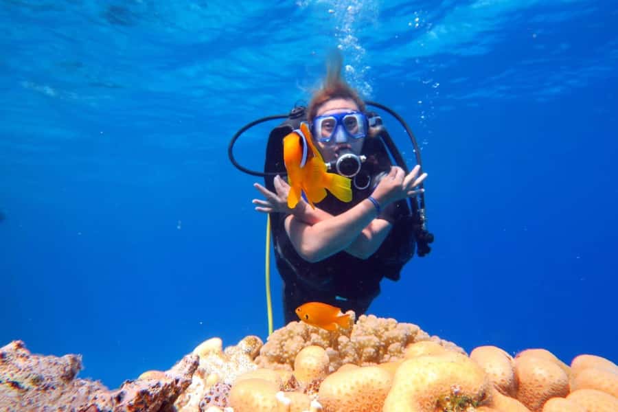 Hurghada: Scuba Diving cruise with lunch & pickup - Key points before you book