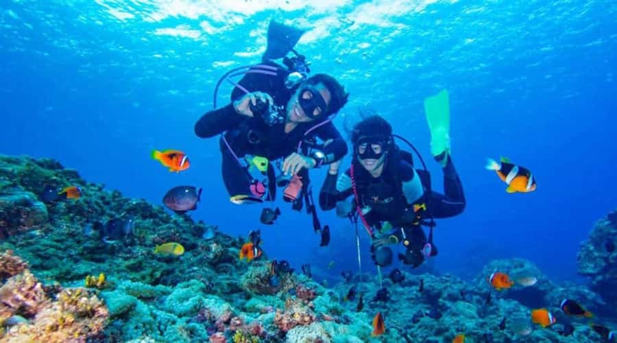 Hurghada: Scuba Diving cruise with lunch & pickup - The morning pickup and trip to Hurghada Marina
