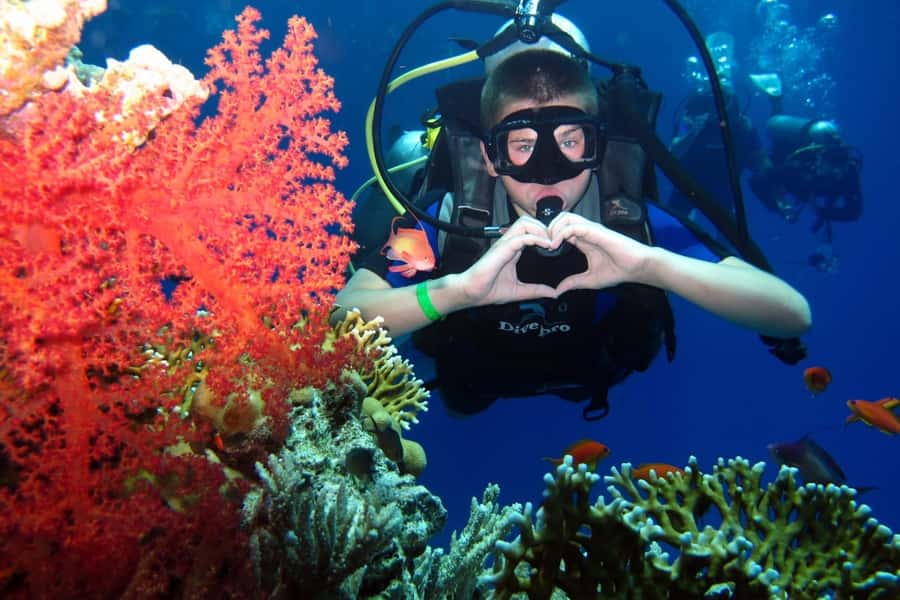 Hurghada: Scuba Diving cruise with lunch & pickup - What the underwater sessions are like
