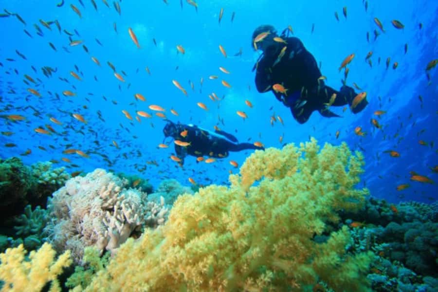 Hurghada: Scuba Diving cruise with lunch & pickup - The second reef stop and lunch on board