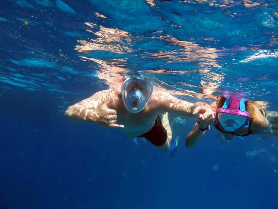 Hurghada: Scuba Diving cruise with lunch & pickup - Group size, organization, and service