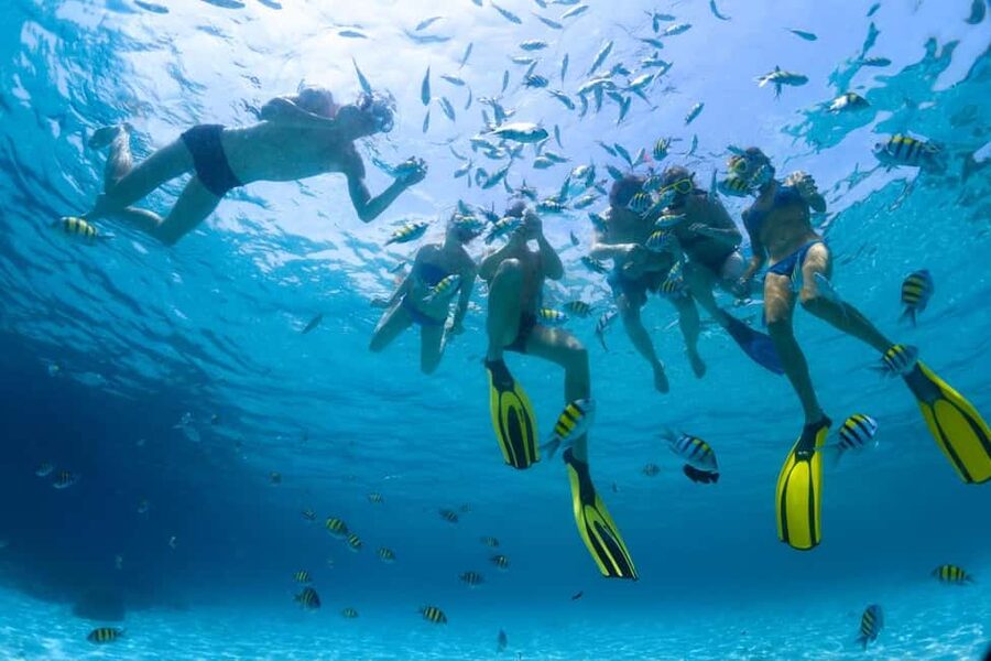 Hurghada: Scuba Diving for Beginners & Certified Divers - Snorkeling Works Well for Non-Divers