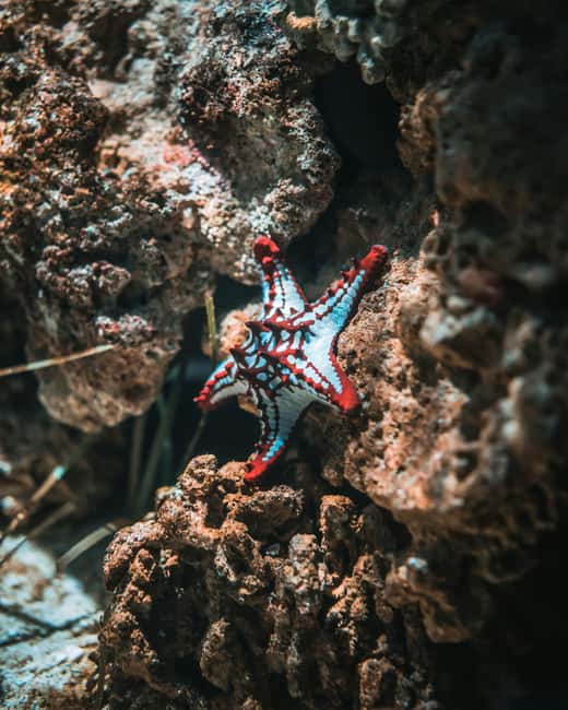 Hurghada: Scuba Diving for Beginners & Certified Divers - What to Bring and What to Expect