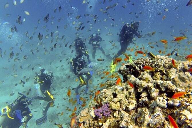 Hurghada Scuba Diving Full Day Boat Trip for beginners With Lunch & Transfer - Your first Red Sea underwater session