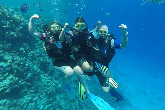 Hurghada Scuba Diving Full Day Boat Trip for beginners With Lunch & Transfer - What the $21.25 price includes, and what it does not