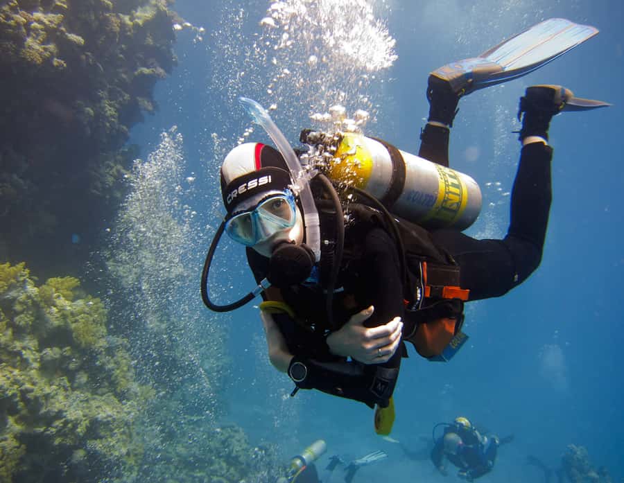 Hurghada Scuba Diving Trip with Pick-up, Lunch - Key points to know before booking