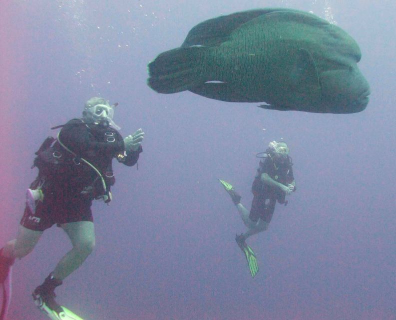 Hurghada Scuba Diving Trip with Pick-up, Lunch - Practical ways to improve the day
