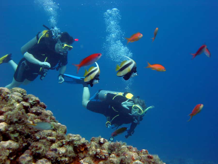 Hurghada Scuba Diving Trip with Pick-up, Lunch - A first Red Sea scuba day for beginners