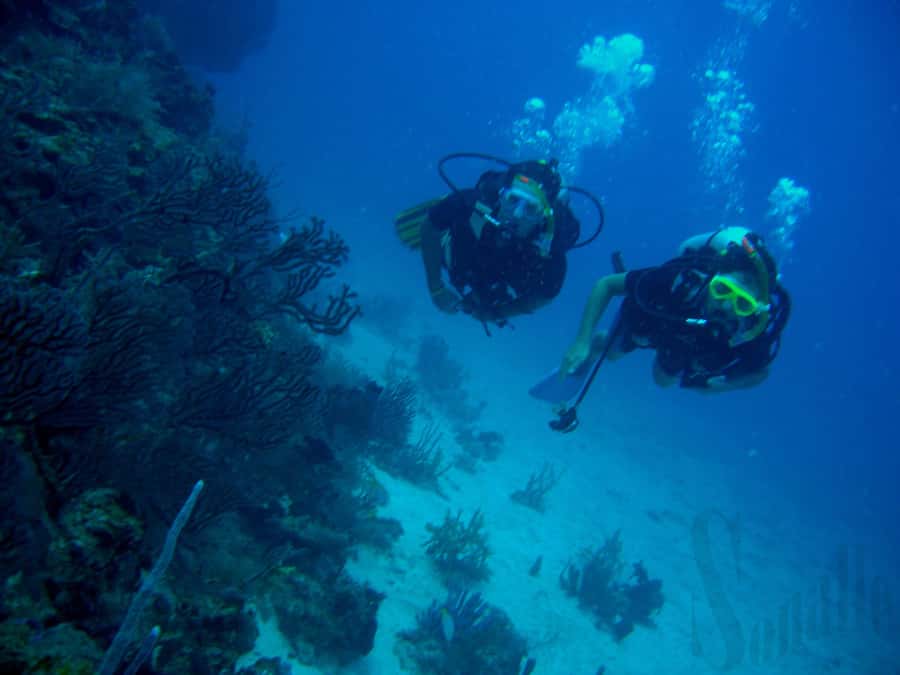 Hurghada Scuba Diving Trip with Pick-up, Lunch - The boat ride across Hurghada’s Red Sea