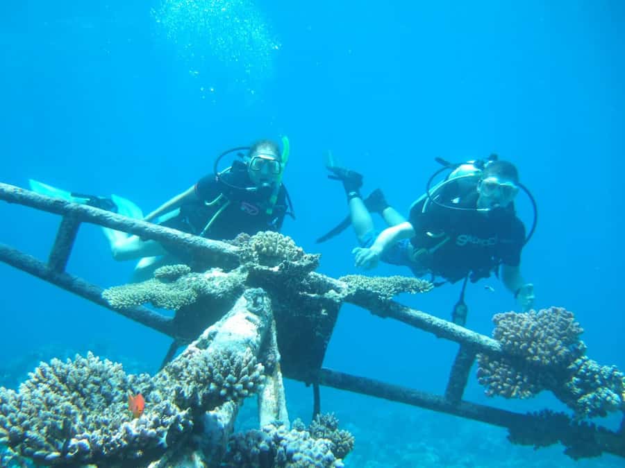 Hurghada Scuba Diving Trip with Pick-up, Lunch - What the first 25-minute session is like