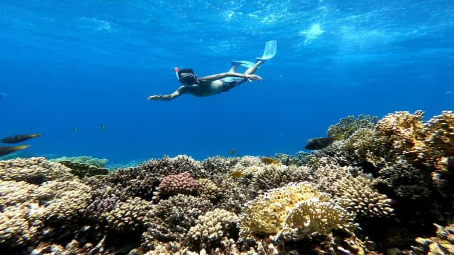 Hurghada: Snorkeling 6 x 1 to Orange Bay w Diving & Massage - Orange Bay and the Giftun Island stop