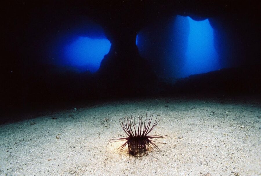 Ibiza: 3.5-Day PADI Open Water Dive Course - The first morning: theory before the water