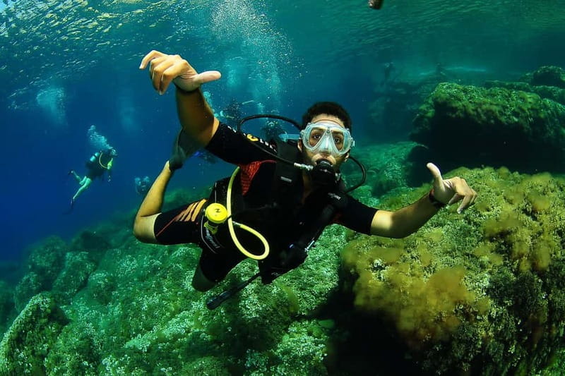 Ibiza: PADI Discover Scuba Diving & Snorkeling Boat Trip - The online lesson before you arrive