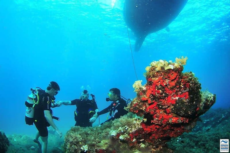 Ibiza: PADI Discover Scuba Diving & Snorkeling Boat Trip - Meeting the yellow boat in San Antonio