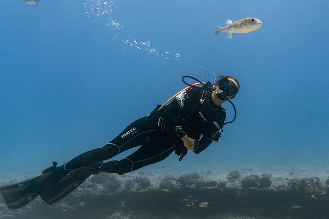 Incredibly Fun Coral Reef Giant Sea Turtles 4hour Boat Scuba Tour - What the four-hour Oahu scuba outing is really like