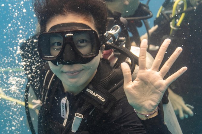 Incredibly Fun Coral Reef Giant Sea Turtles 4hour Boat Scuba Tour - The shop briefing and first tank