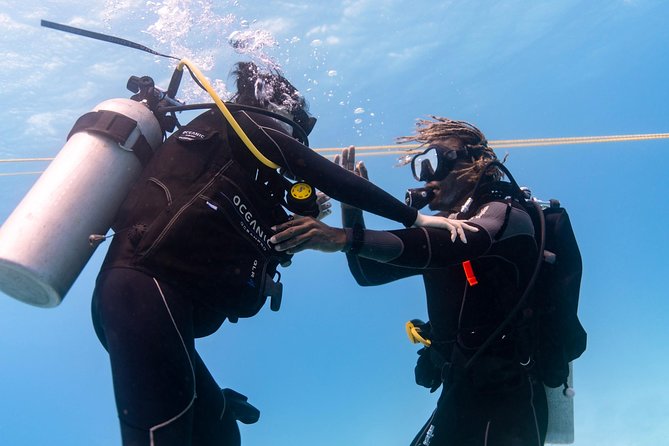 Incredibly Fun Coral Reef Giant Sea Turtles 4hour Boat Scuba Tour - Medical rules, fitness, and flight timing
