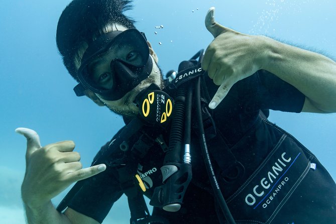 Incredibly Fun Coral Reef Giant Sea Turtles 4hour Boat Scuba Tour - The second tank and the best chance for turtles