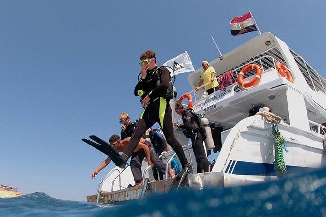 Intro and Professional Scuba Diving Cruise with Lunch in Hurghada - What your Hurghada sea day is really like