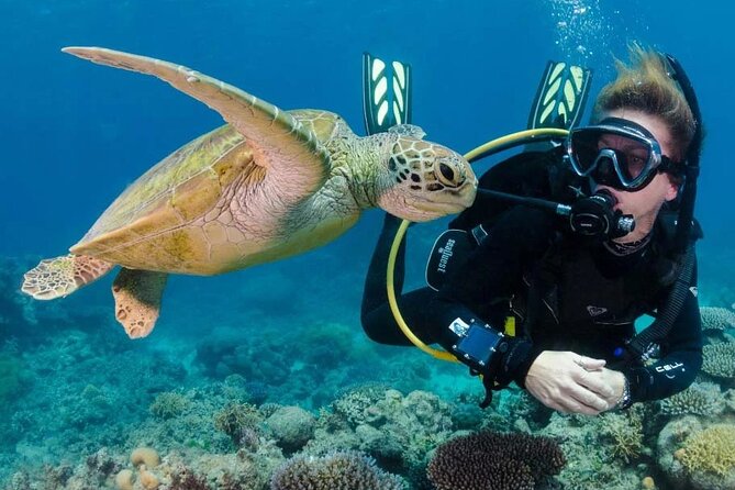 Intro and Professional Scuba Diving Cruise with Lunch in Hurghada - Snorkeling gives non-divers a full day too