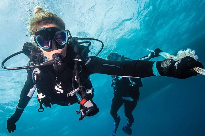 Intro and Professional Scuba Diving Cruise with Lunch in Hurghada - The $15 price needs a closer look