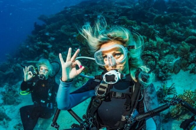 Intro and Professional Scuba Diving Cruise with Lunch in Hurghada - Who will get the most from this trip