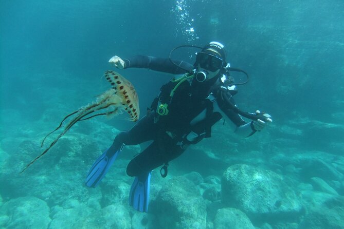 Intro Dive in Dubrovnik - The limits of a first-time session