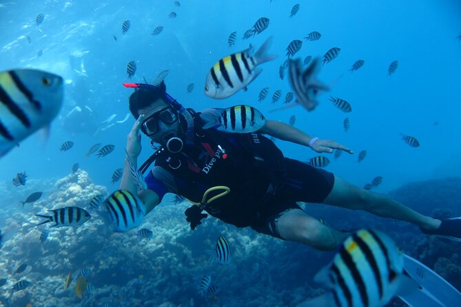 Intro Diving 2 Stops For Beginners with Pick-up and Lunch - Hurghada - Safety, weather, and practical comfort