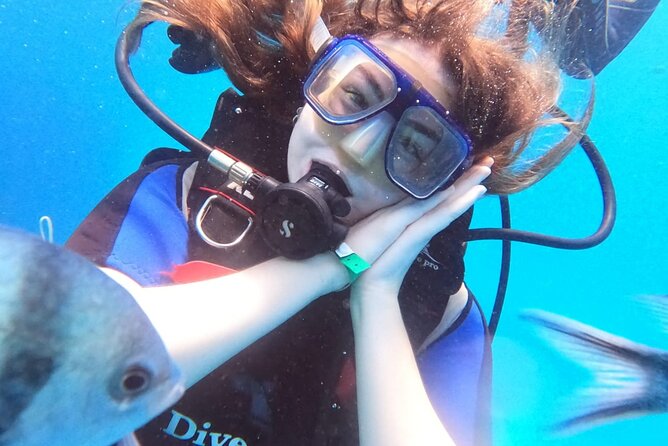 Intro Diving Beginner and Discover Red Sea Underwater - What this Red Sea day is really like