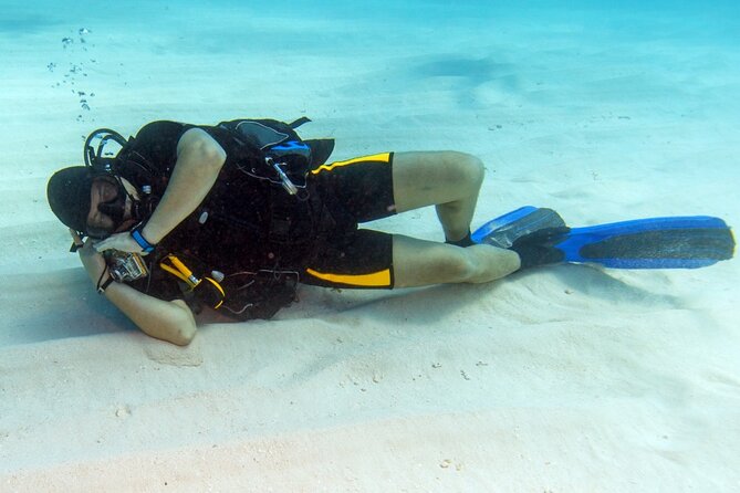 Intro Diving for Beginners 2 Stops Diving with Lunch - Hurghada - Two Beginner Underwater Sessions From Hurghada
