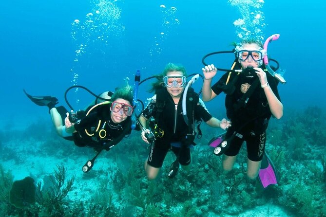 Intro Diving for Beginners 2 Stops Diving with Lunch - Hurghada - The 8:00 am Pickup and Ride to the Pier