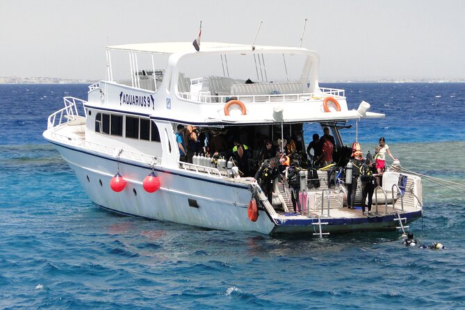 Intro Diving for Beginners 2 Stops Diving with Lunch - Hurghada - The Second Site, Fish, and a Chance of Dolphins