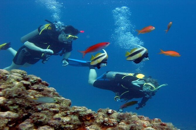 Intro Diving for Beginners 2 Stops Diving with Lunch - Hurghada - Group Size, Atmosphere, and Instruction