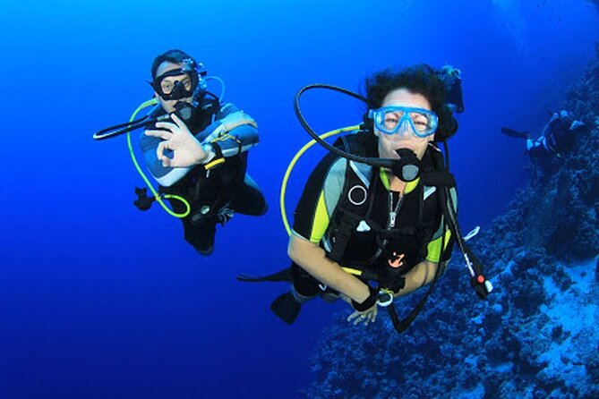 Intro Diving for Beginners in Hurghada with Pick-up and Lunch - Key points to know before you book