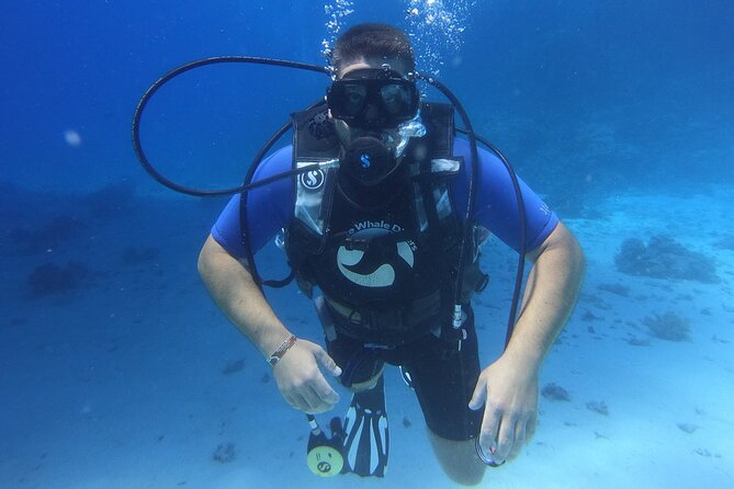 Intro Diving for Beginners in Hurghada with Pick-up and Lunch - Lunch, water, and a long day on the boat