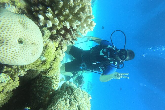 Intro Diving for Beginners in Hurghada with Pick-up and Lunch - Who will get the most from this experience