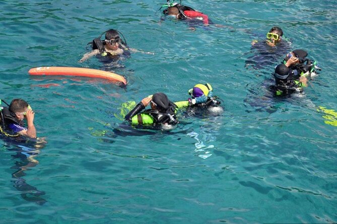 Intro Diving for Beginners in Hurghada with Pick-up and Lunch - Practical points that can make the day easier