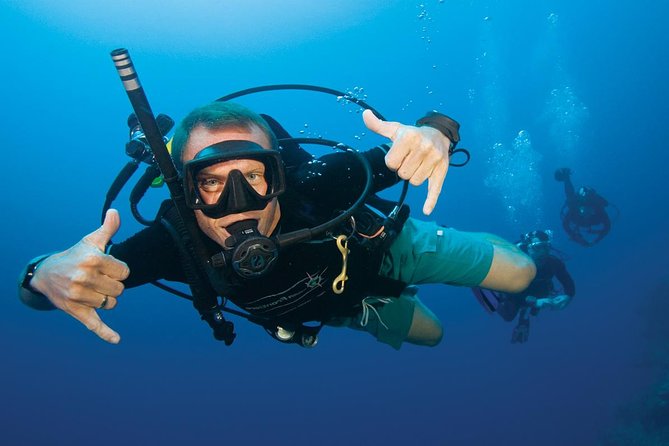 Intro Diving Full-Day Boat Trip, Lunch & Transfers - Hurghada - What the Red Sea offers beneath the surface