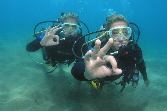 Intro/Refresher Dive Swim Ability Required - Why the Four-Person Limit Matters