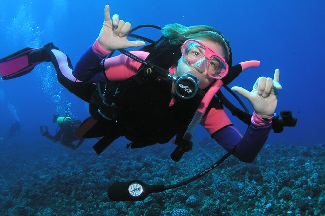 Intro/Refresher Dive Swim Ability Required - The Underwater Portion and Maui Sea Life